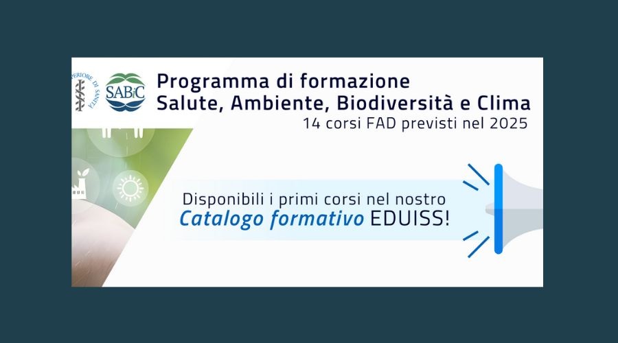 Clicca per accedere all'articolo Tanti corsi FAD sulla piattaforma EDUISS